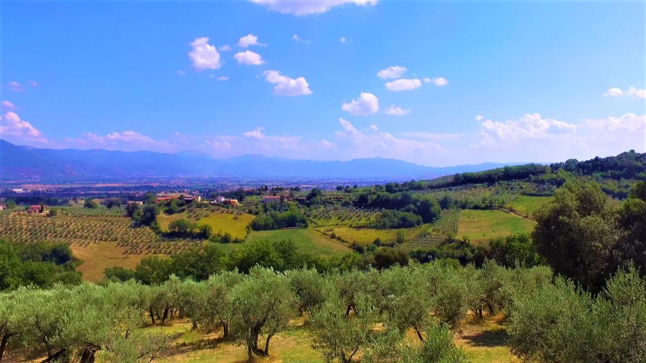 Agriturismo Camiano Piccolo Montefalco Exterior foto