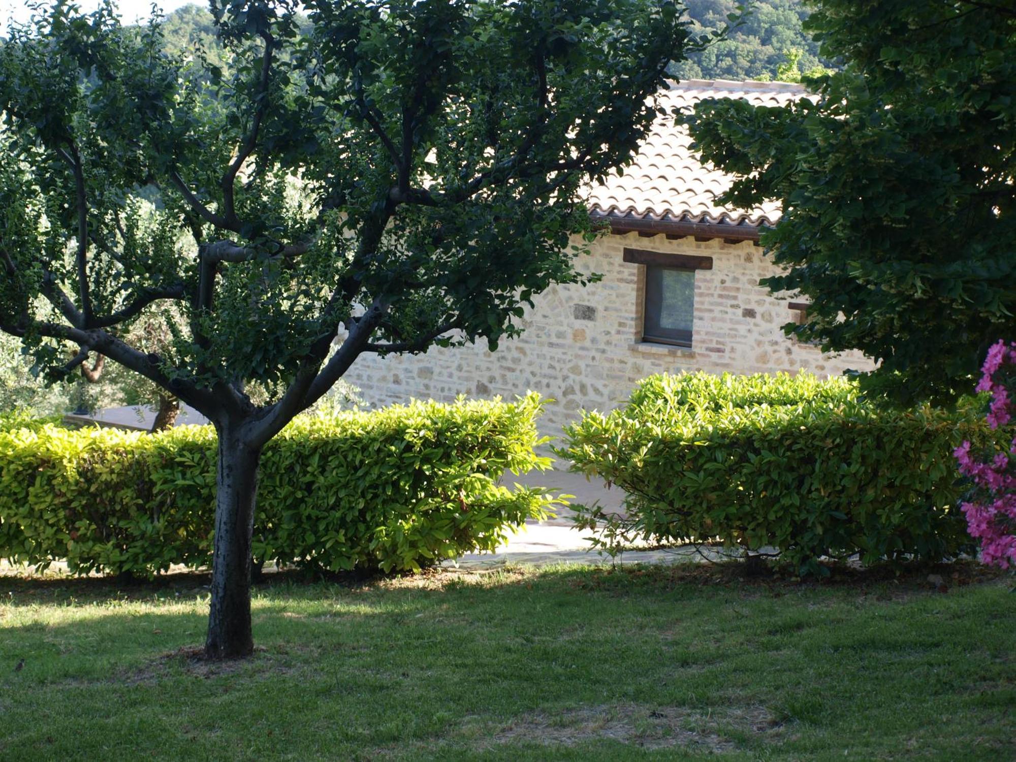Agriturismo Camiano Piccolo Montefalco Exterior foto